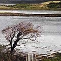 Near Croagh Patrick