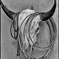 Bones and Rope