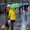Rainy Day in Manhattan