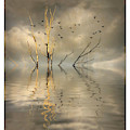 Submerged